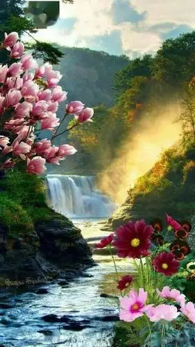 落日余晖鸟语花香