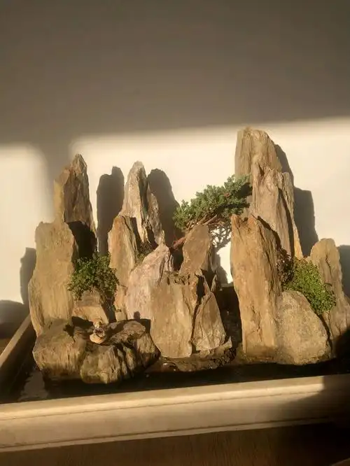 盆景里的小假山惟妙惟肖小盆景假山造型图