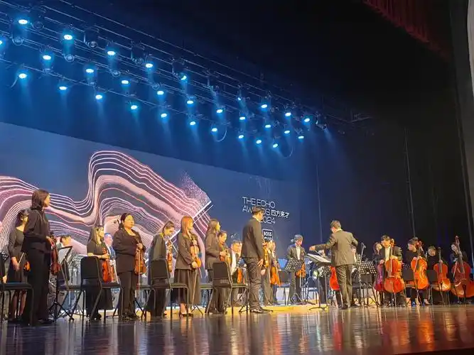 深圳城市乐乐团演出表演#交响音乐会现场 #管乐团 - 抖音