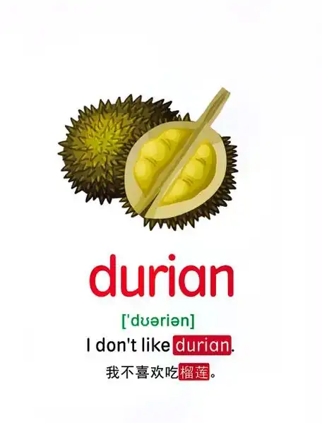 三年级英语单词水果词汇闪卡#萌知计划 @抖音青少年 #启蒙英 - 抖音