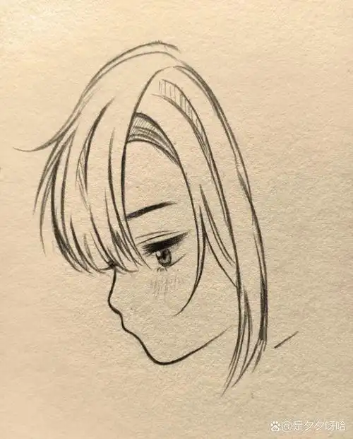女孩侧脸教程  素材