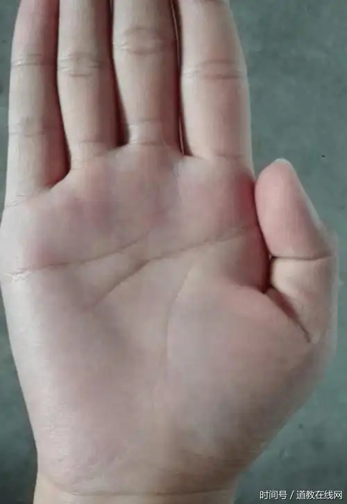 长寿之人,一辈子幸福安康"活到99"的就是这种手相,有你吗?
