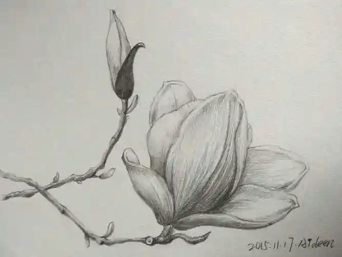 花257dddingyiting彩铅手绘82dddingyiting彩铅80dddingyiting彩铅145