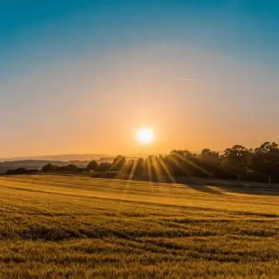 最美的日出头像,日出风景微信头像图片春天的风景