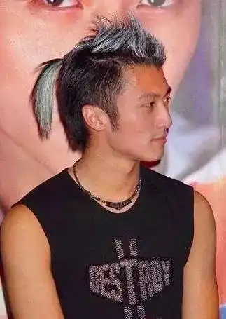 这种style的单马尾也是有的,感觉谢霆锋这么爱扎辫子应该是学他爸爸的