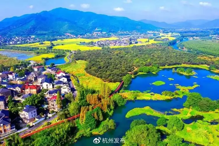 苕溪旁新安江畔杭州又有两条绿道成为浙江最美