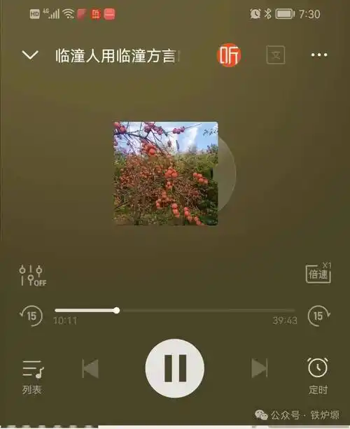 北方农村的一曲骊歌读高建群大平原有感睢玲