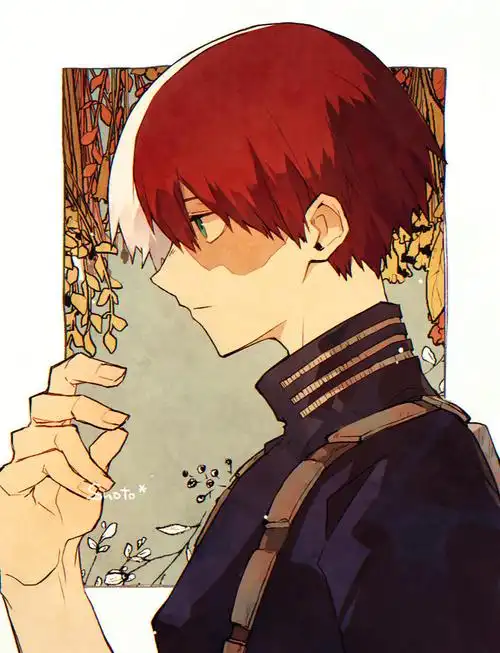 轰焦冻我的英雄学院