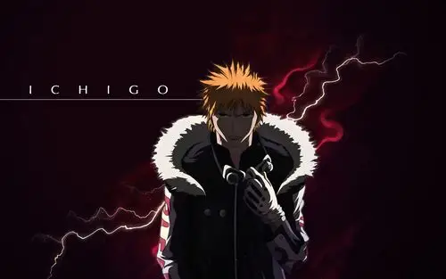 激情热血的死神 动漫电脑壁纸下载