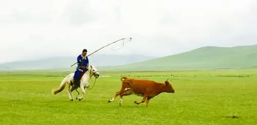 蒙古汉子套马杆