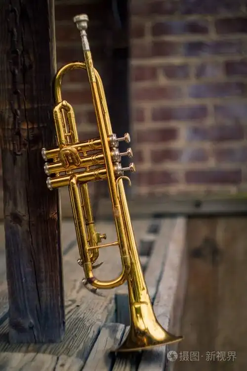 老生锈的爵士乐乐器小号靠在砖墙大厦外面俱乐部