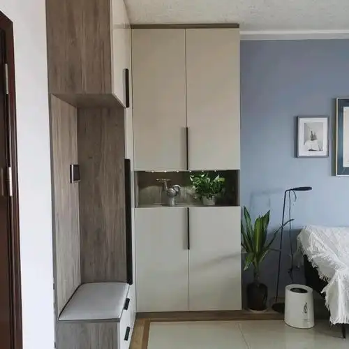 可以分为两个部分,一边做鞋柜收纳,另外一边安装独立的镜子,有扩大和