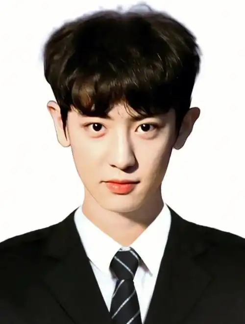 朴灿烈金俊勉证件照