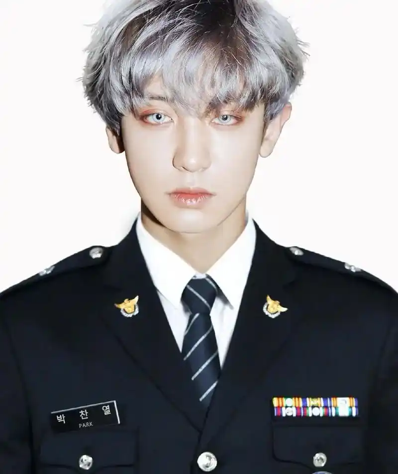 上个作品里灿白勋兴的证件照来啦#exo#朴灿烈#边伯贤#吴世 - 抖音