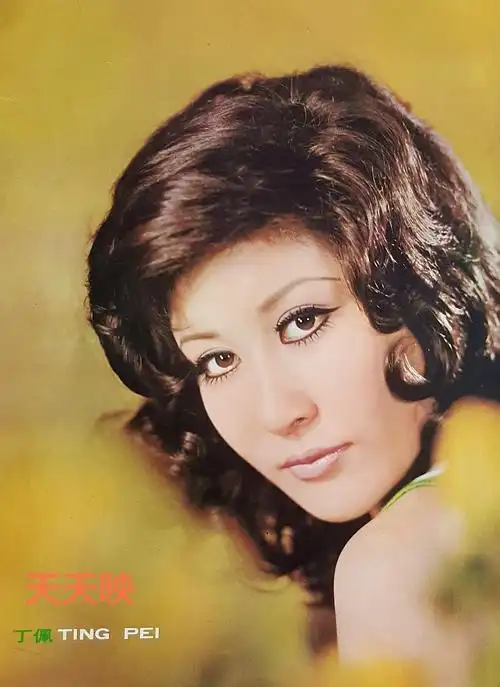 丁佩bettytingpei的图片