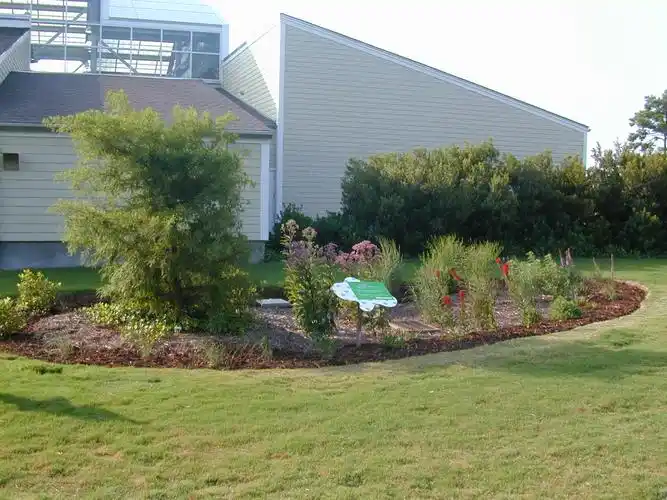 "美貌"与"智慧"并存的雨水花园(多图)