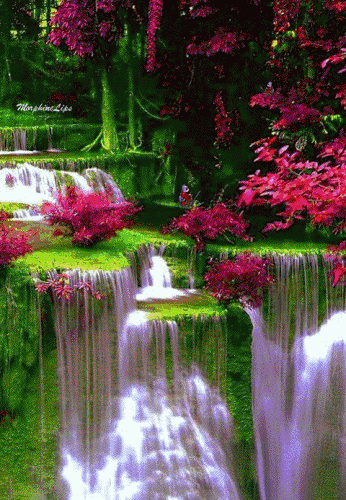 346_500竖版 竖屏gif 动态图 动图