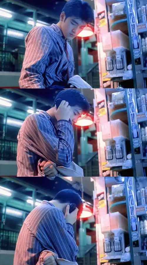 重庆森林 - 堆糖,美图壁纸兴趣社区