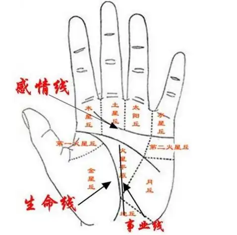 手相三角形纹线(三角纹紧贴生命线图片) - 卜安居