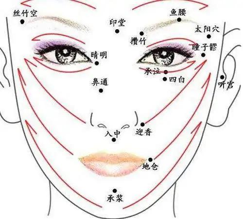 任督二脉走中间,面部经络九条线