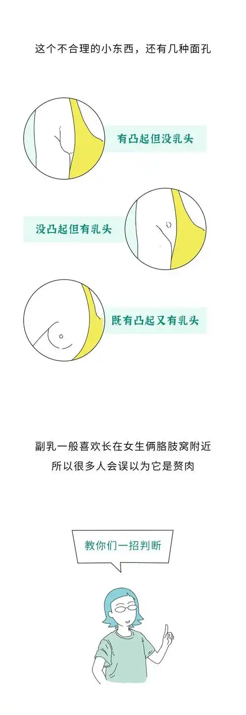 女生身体构造最不合理的6大部位男生勿进