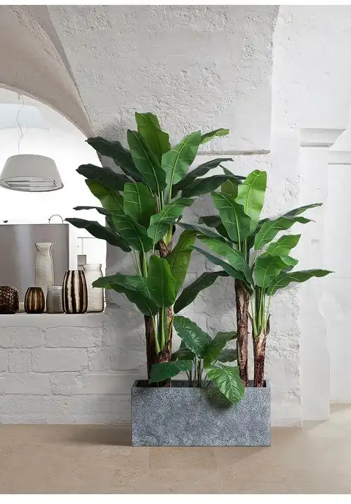 仿真树 装饰北欧大型落地仿真绿植芭蕉树旅人蕉阔叶热带植物隔断橱窗