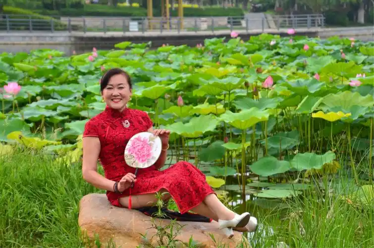 蓬莱湿地公园一一旗袍女人观荷花绽放