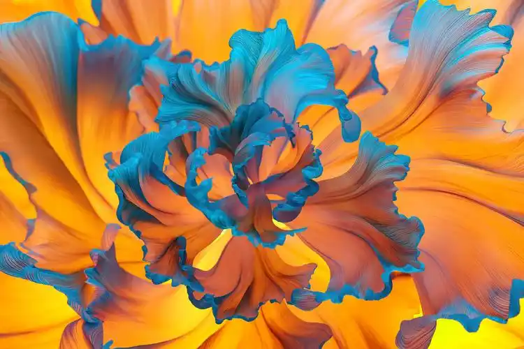 求matestationx桌面原装壁纸