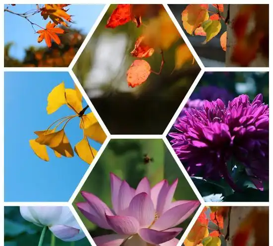 ps照片合成 ps把几张图片拼成一张图