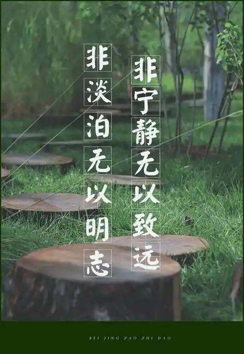 二环这个新开放的城市公园,让浮躁的心都平静了.