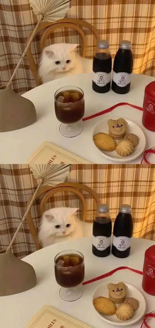 ins高质感冷淡风壁纸