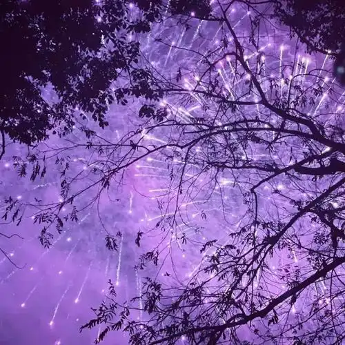 紫色系背景图来啦!90