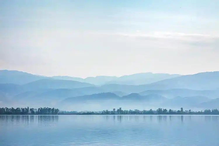 九条抖音伤感励志情感好句子