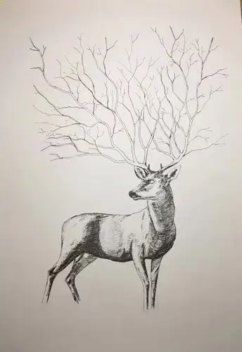 原创作品:鹿