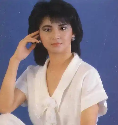 64岁胡慧中自曝在内地疑似将要复出女儿被指太胖