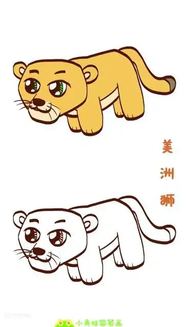 简笔画大全美洲狮