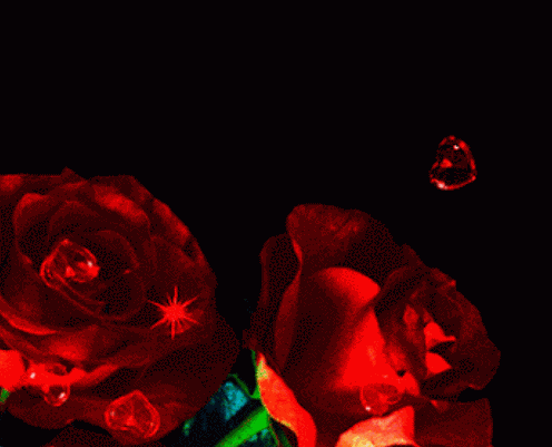 情人节玫瑰红色爱心gif动图_动态图_表情包下载_soogif