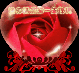 268_250gif 动态图 动图