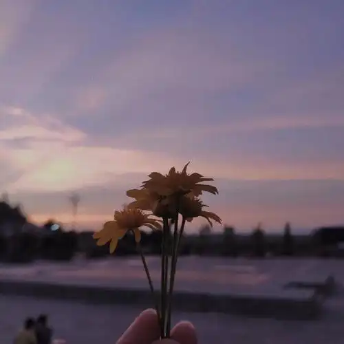 朋友圈背景图 - 堆糖,美图壁纸兴趣社区