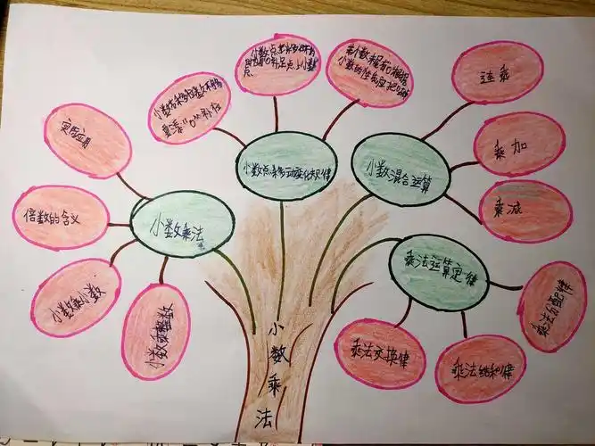 航天二一〇小学四年级二班整理复习优秀思维导图