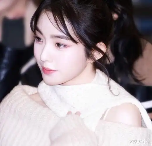 irene裴珠泫在机场粉丝围堵中受伤,网友:忘了梨泰院事件吗?-腾讯新闻