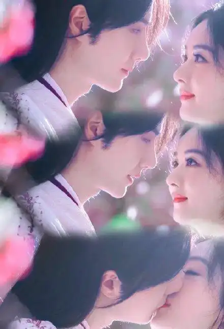 有翡王一博赵丽颖花瓣吻唯美吗我却忍不住要吐槽太假