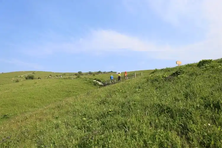 高山草甸|舜王坪|历山
