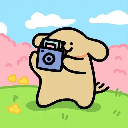 头像 | 一看就想换的微信头像