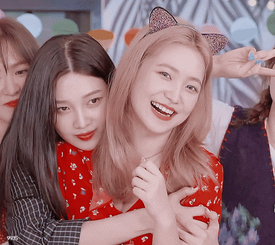 担心弄丢的欧妮们,还有对新进来的妹妹也99999999red velvet