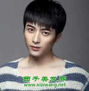 男生蓬松齐刘海碎发发型图片