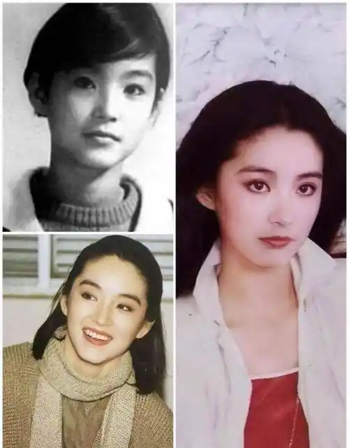 5个算正常,全部认出你就是大神_朱茵_年代_小时候