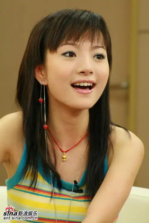 17时2006超级女声长沙十强许飞(blog),张亚飞,张美娜,查娜,杨丹,胡灵