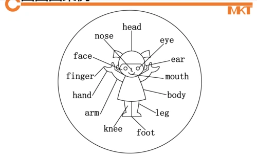 这是利用圆圈图学习身体部位的英文名称.