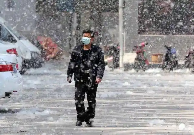 走在大街上大家都得戴个口罩,然而还是抵挡不住满天飞过来的杨絮